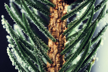 Similar image 21537180