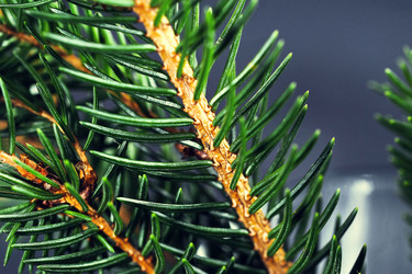 Similar image 21537181