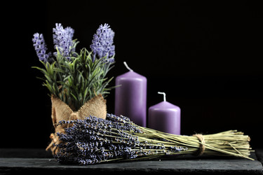 Similar image 21537182