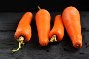 Similar image 21536678