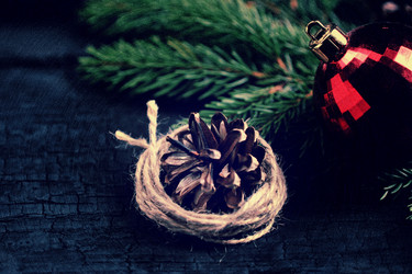 Similar image 21536696