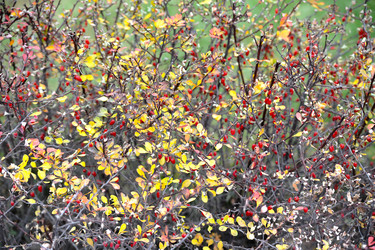 Similar image 21536697