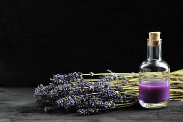 Similar image 21536711