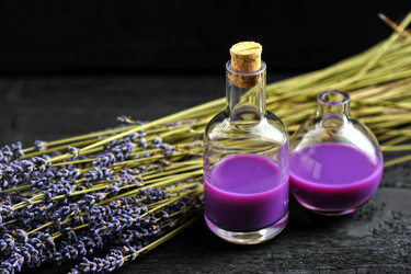 Similar image 21537190