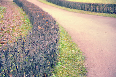 Similar image 21537211