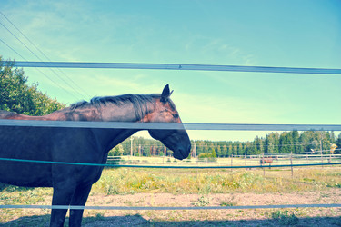 Similar image 21537213