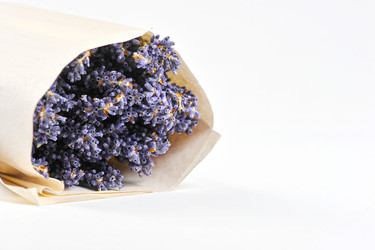 Similar image 21537220