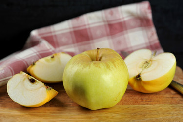 Similar image 21536725