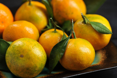 Similar image 21536741