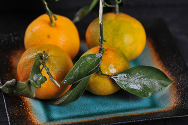 Similar image 21536742