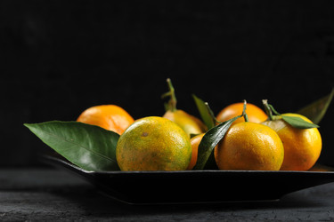 Similar image 21536744