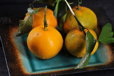 Similar image 21536745