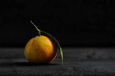 Similar image 21536747