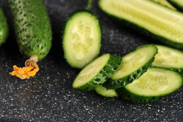 Similar image 21536748