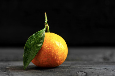 Similar image 21536749