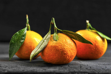 Similar image 21536750