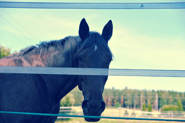 Similar image 21536752