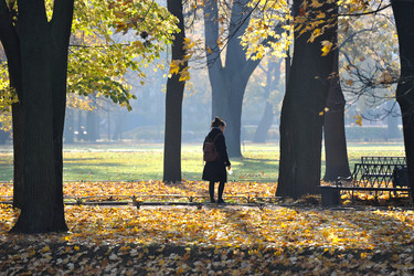 Similar image 21536779