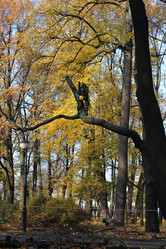 Similar image 21537232