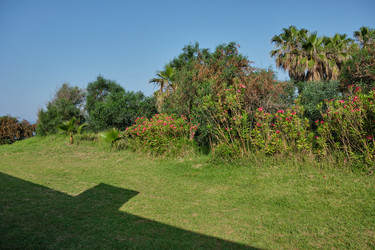 Similar image 21524723