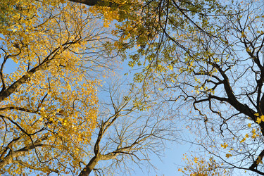 Similar image 21536437