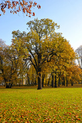 Similar image 21536438