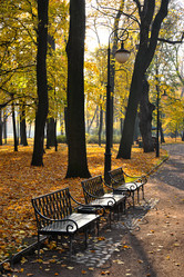 Similar image 21536441