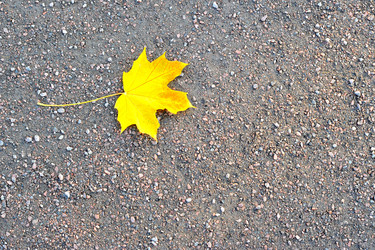 Similar image 21536445