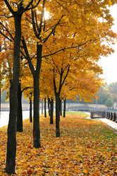 Similar image 21536791