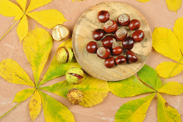 Similar image 21536803