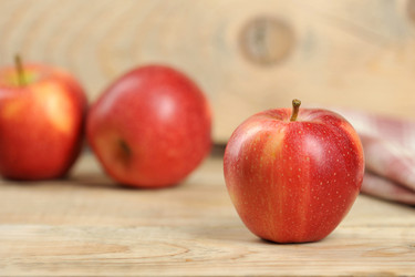 Similar image 21536805