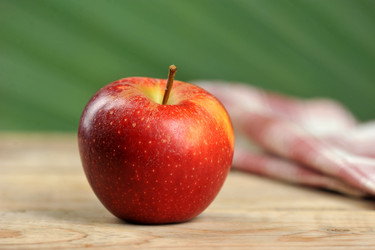 Similar image 21536808