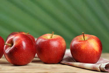 Similar image 21536810