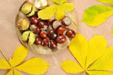 Similar image 21536811