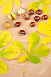 Similar image 21536813