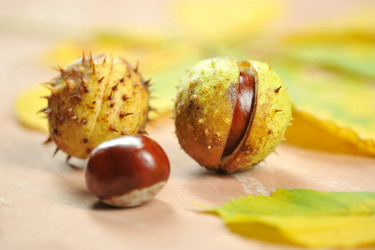 Similar image 21536816