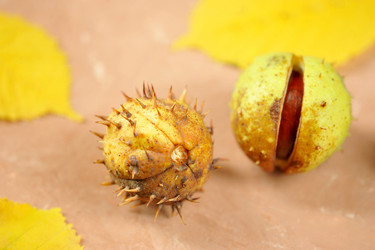 Similar image 21536818