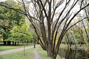 Similar image 21536824