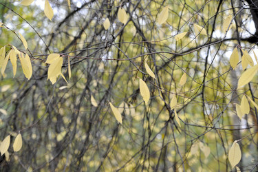 Similar image 21536827