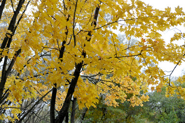 Similar image 21536828