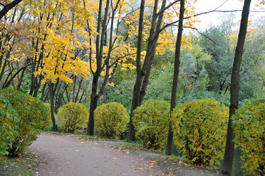 Similar image 21536830