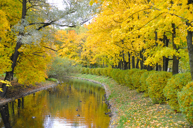 Similar image 21536832