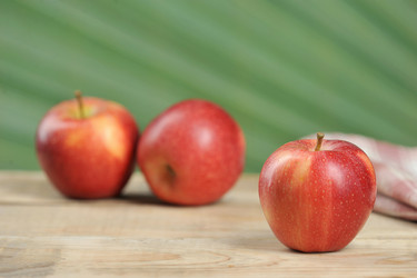 Similar image 21536836