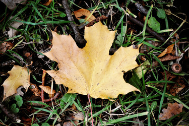 Similar image 21537239