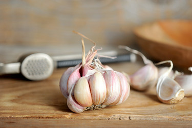 Similar image 21536475