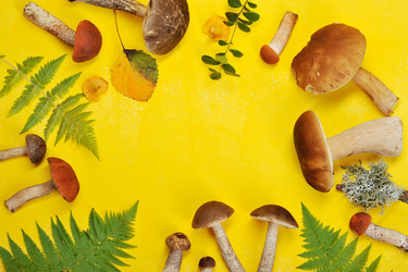 Similar image 21536494