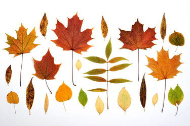 Similar image 21536496