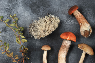 Similar image 21536502