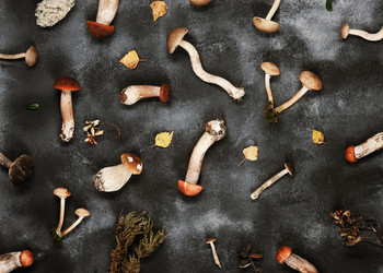 Similar image 21536508