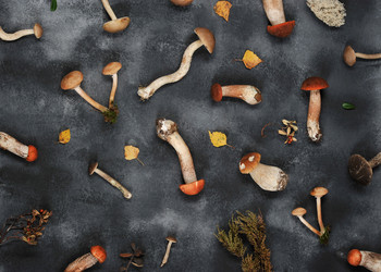 Similar image 21536510